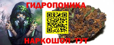MESCALINE Гатчина