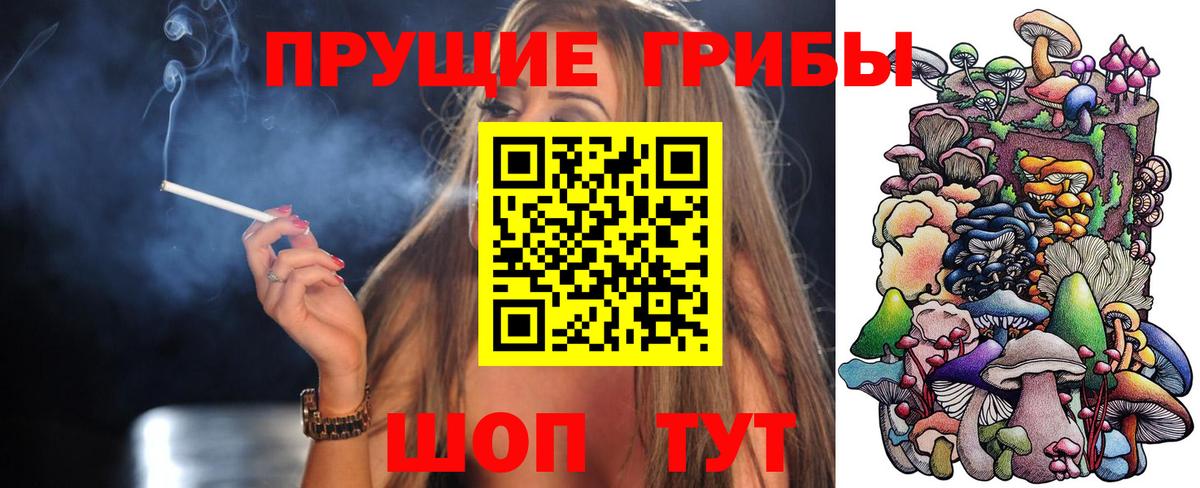 наркошоп  Вход с VPN  Мирный  Псилоцибиновые грибы GOLDEN TEACHER  Псилоцибиновые грибы GOLDEN TEACHER 
