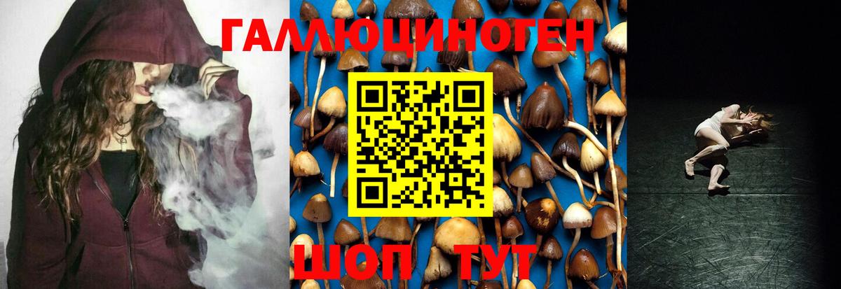 Псилоцибиновые грибы ЛСД Мирный